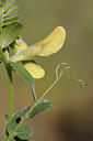 BUITEN BEELD Foto: 275521