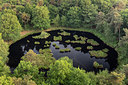 BUITEN BEELD Foto: 275538