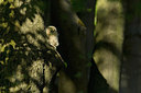 BUITEN BEELD Foto: 275566