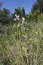 BUITEN BEELD Foto: 275603