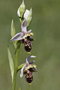 BUITEN BEELD Foto: 275605