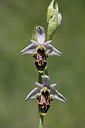 BUITEN BEELD Foto: 275606