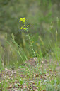 BUITEN BEELD Foto: 275614