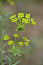 BUITEN BEELD Foto: 275615