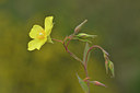 BUITEN BEELD Foto: 275617