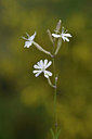 BUITEN BEELD Foto: 275620