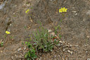 BUITEN BEELD Foto: 275621