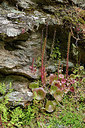 BUITEN BEELD Foto: 275627