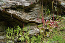 BUITEN BEELD Foto: 275628