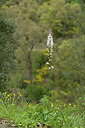 BUITEN BEELD Foto: 275637