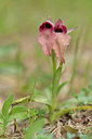 BUITEN BEELD Foto: 275669