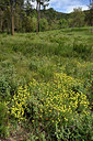 BUITEN BEELD Foto: 275670