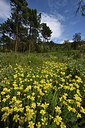 BUITEN BEELD Foto: 275671