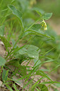 BUITEN BEELD Foto: 275673