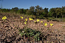 BUITEN BEELD Foto: 275688