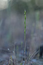 BUITEN BEELD Foto: 275694