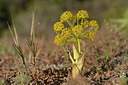 BUITEN BEELD Foto: 275704