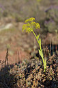 BUITEN BEELD Foto: 275705