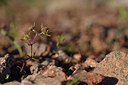BUITEN BEELD Foto: 275708