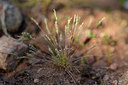 BUITEN BEELD Foto: 275713