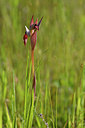 BUITEN BEELD Foto: 275725