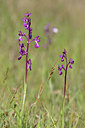 BUITEN BEELD Foto: 275731