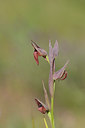 BUITEN BEELD Foto: 275733