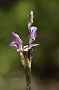 BUITEN BEELD Foto: 275738