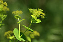 BUITEN BEELD Foto: 275753