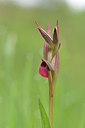 BUITEN BEELD Foto: 275764