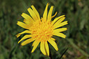 BUITEN BEELD Foto: 275812