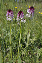 BUITEN BEELD Foto: 275821