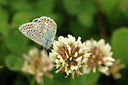 BUITEN BEELD Foto: 275878