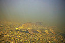 BUITEN BEELD Foto: 275882