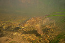 BUITEN BEELD Foto: 275905