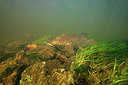 BUITEN BEELD Foto: 275948
