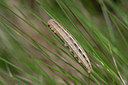 BUITEN BEELD Foto: 276009