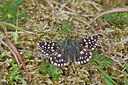 BUITEN BEELD Foto: 276010