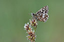 BUITEN BEELD Foto: 276011