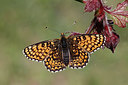 BUITEN BEELD Foto: 276045
