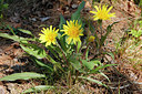 BUITEN BEELD Foto: 276063