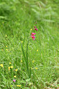 BUITEN BEELD Foto: 276088