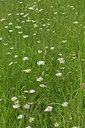 BUITEN BEELD Foto: 276094