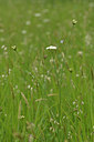BUITEN BEELD Foto: 276095