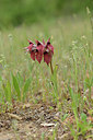 BUITEN BEELD Foto: 276112