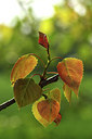 BUITEN BEELD Foto: 276190