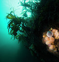 BUITEN BEELD Foto: 276245