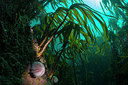 BUITEN BEELD Foto: 276246