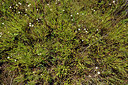 BUITEN BEELD Foto: 276279