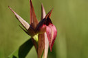 BUITEN BEELD Foto: 276282